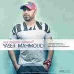 دانلود آهنگ حالت چطوره عشقم یاسر محمودی
