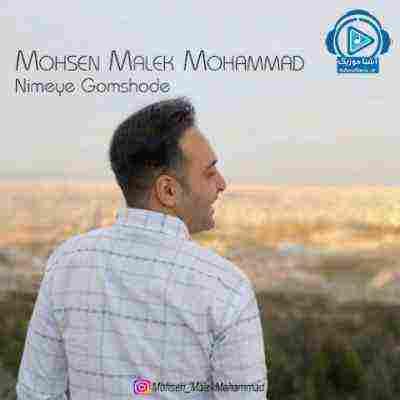 نیمه گمشده محسن ملک محمد