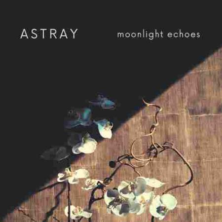 Astray Moonlight Echoes
