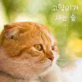 Cat Forest Jeon Su Yeon