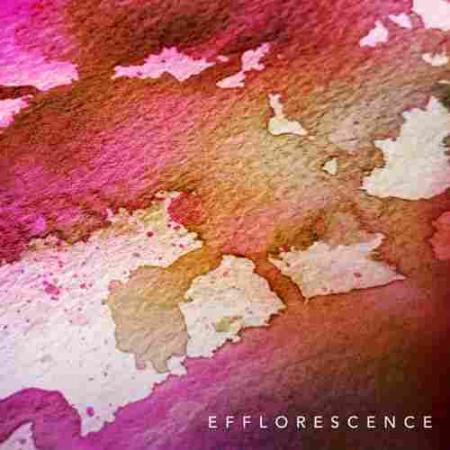 Efflorescence Music Within