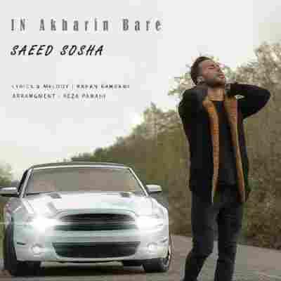 این آخرین باره سعید سوشا