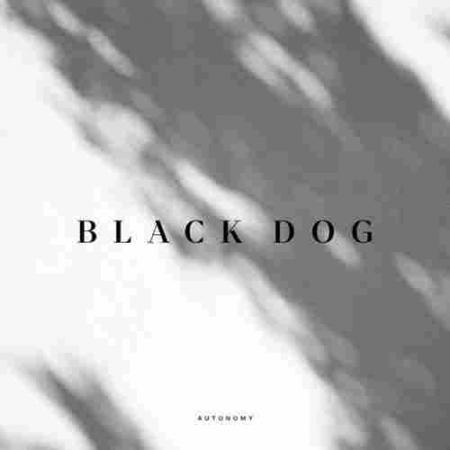Black Dog Autonomy