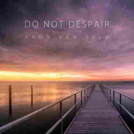 Do Not Despair Aron van Selm