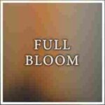 دانلود آهنگ Full Bloom Maneli Jamal