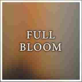 Full Bloom Maneli Jamal
