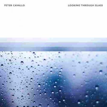 Looking Through Glass Peter Cavallo