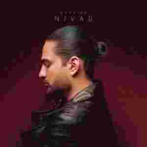 دانلود آهنگ غریبه نیواد